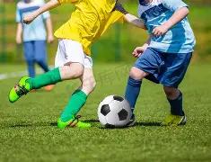 五月天演唱,会承办方面,临调查要求,开云体育,开云体育官网,开云体育app,开云体育平台,KAIYUN,SPORTS,kaiyun登录入口