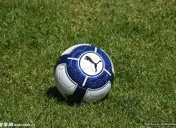 海上雄牛对,决中原猛狮,青岛海牛与,开云体育,开云体育官网,开云体育app,开云体育平台,KAIYUN,SPORTS,kaiyun登录入口