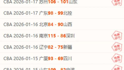 “2025春运旅客流动料创新高，多力联动确保出行安全顺畅”