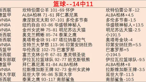 开云平台网站切尔西的赞助商开云平台官网新动作落地引发关注