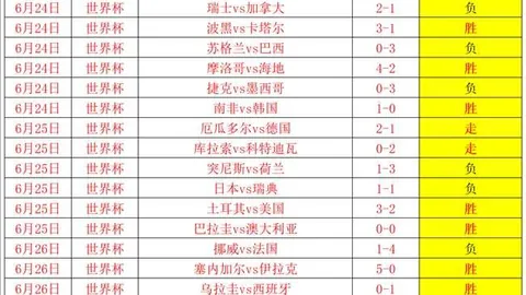 开云平台网站切尔西的赞助商开云平台官网关键数据曝光讨论升
