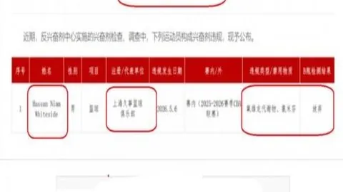 开云平台网站切尔，开云赞助商，西的赞助商 140434 12
